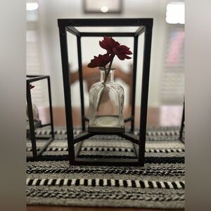 One (1) Modern Black Metal Frame with Red Succulent Accent - Magnolia Home